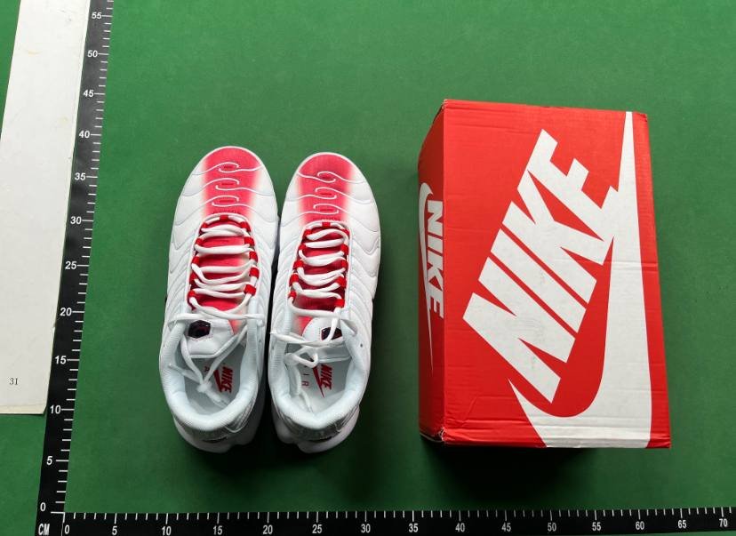 Nike Air TN Shoes