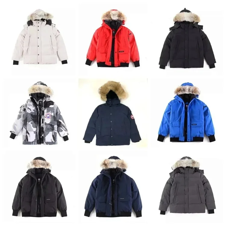 Canada Goose(+12 c