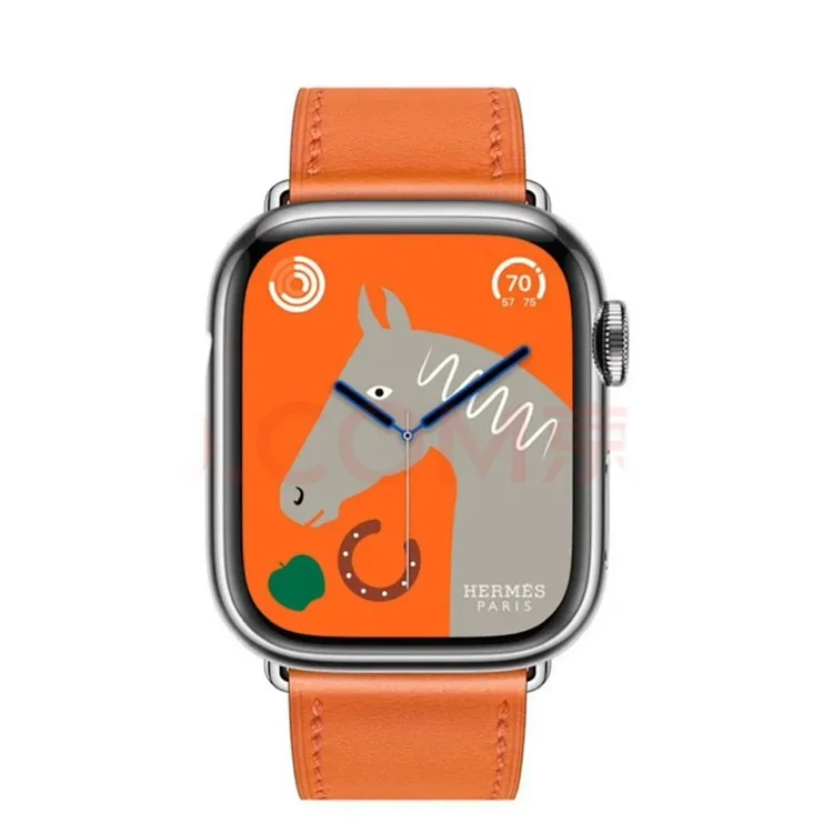 Apple Watch Hermes s