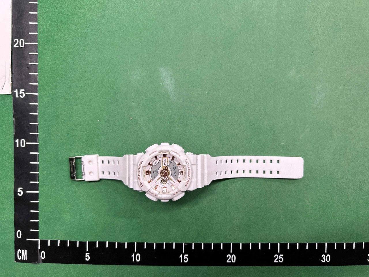  Casio Watch gm-110