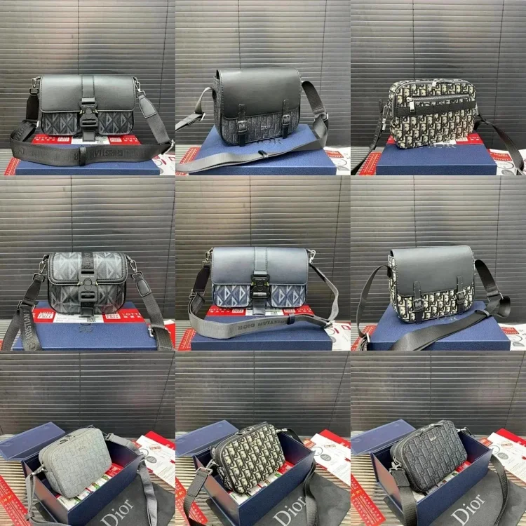 Dior camera bag