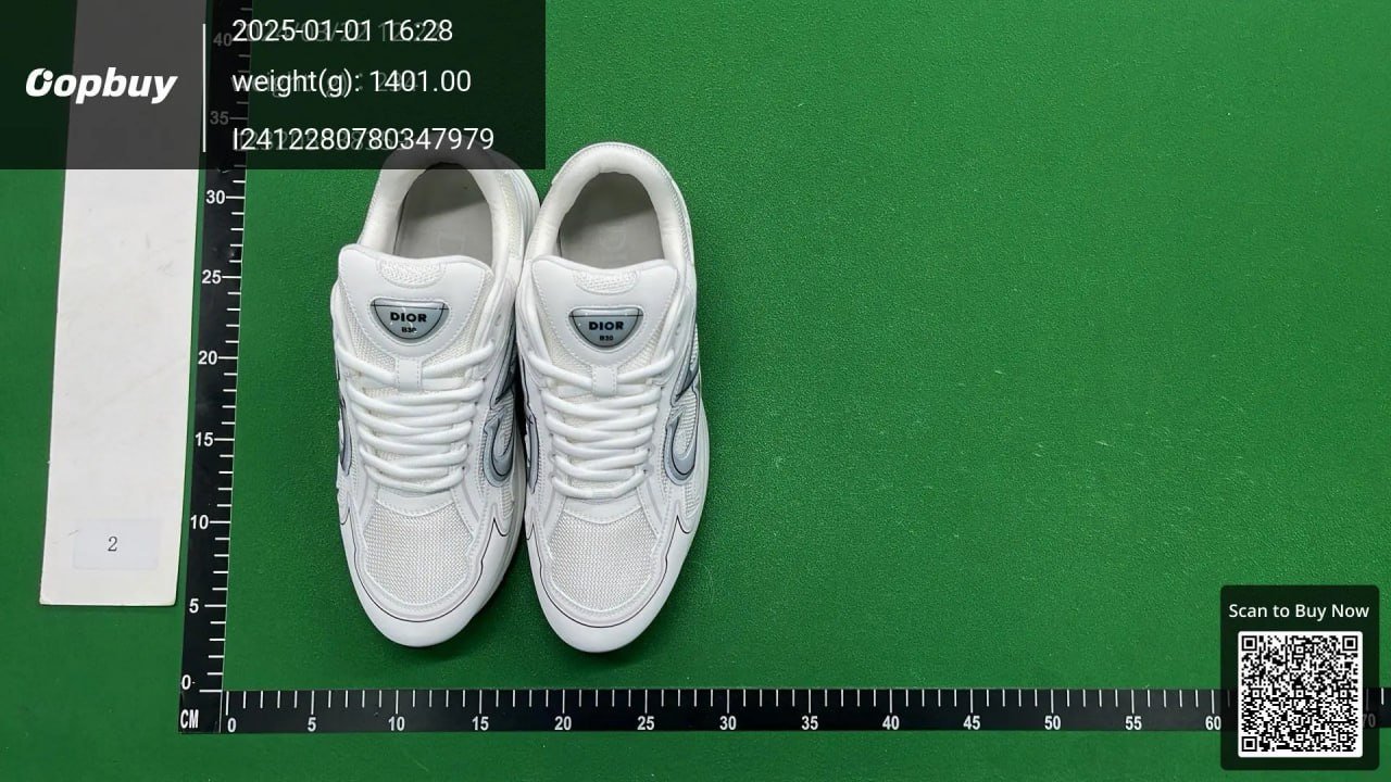 Dior B30 Sneakers Shoes  （30+