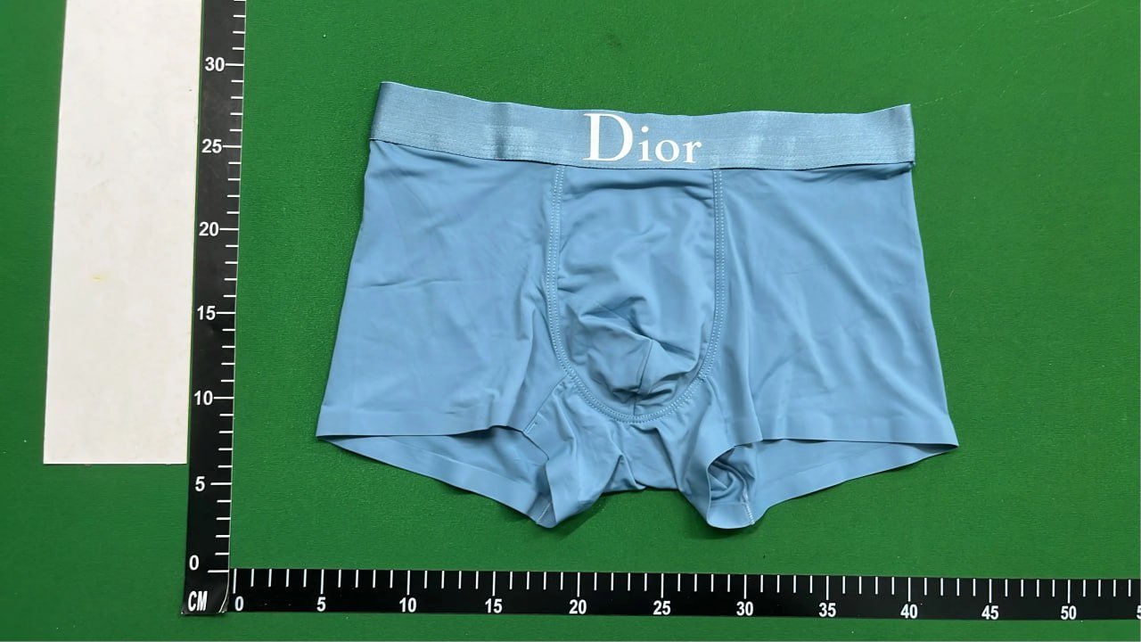 Dior Underwear