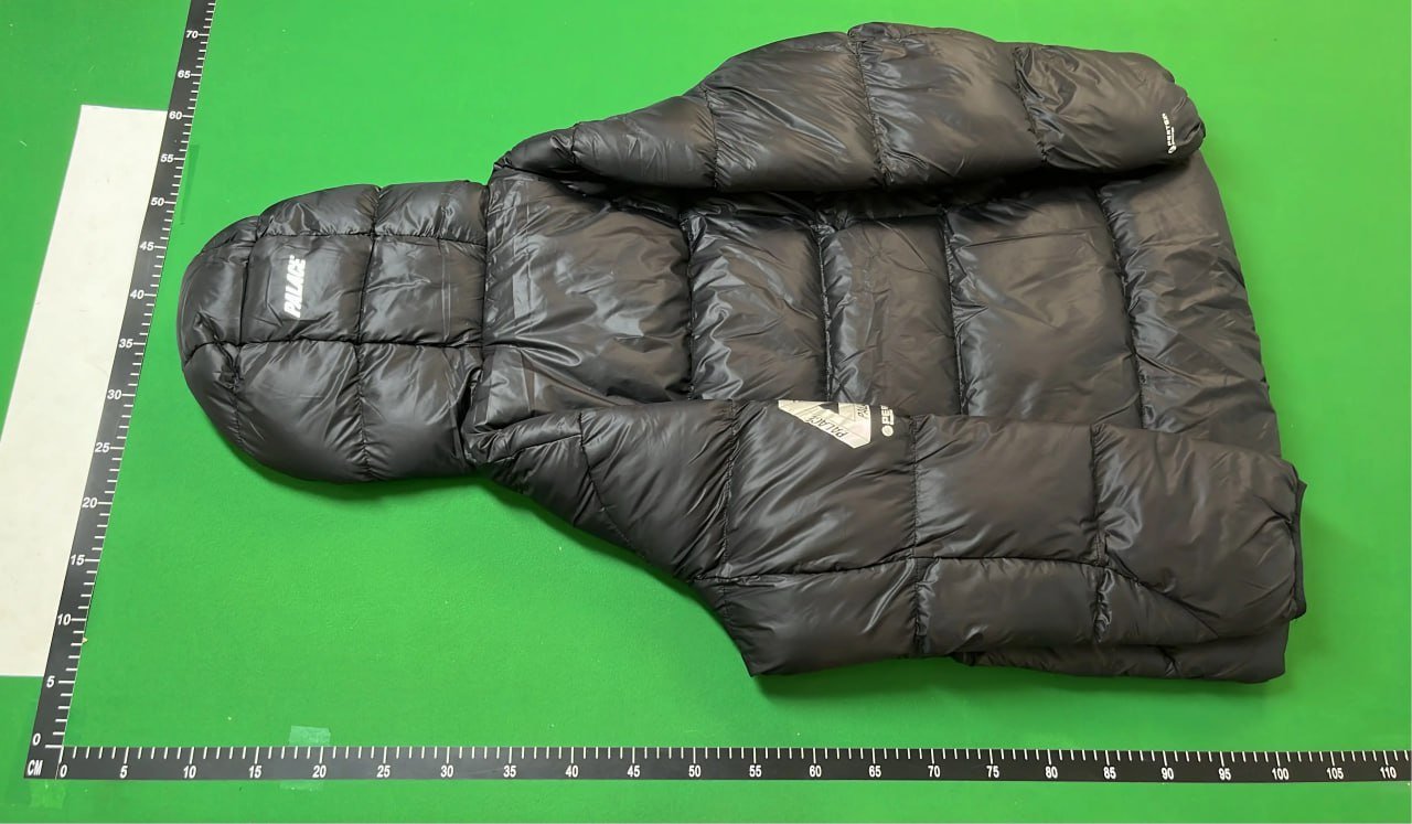 Palace Puffer